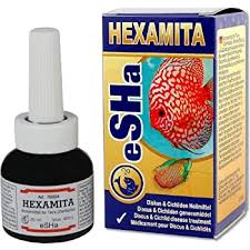 eSHa HEXAMITA – при бели изпражнения, отслабване и дупки по тялото