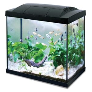 Аквариум Hailea K20