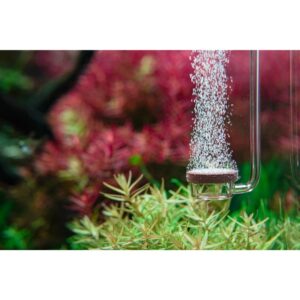 Co2 Дифузер М Aquario Neo